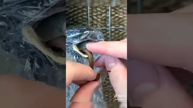 Популярное из Тик Ток: рай для сладкоежки (21 часть) смотреть онлайн