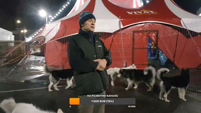 Добрый вечер смотреть онлайн