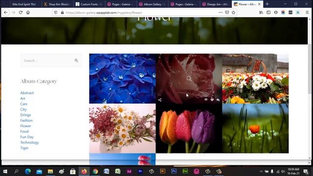 Album Gallery WordPress Photo Gallery Plugin - Features смотреть онлайн