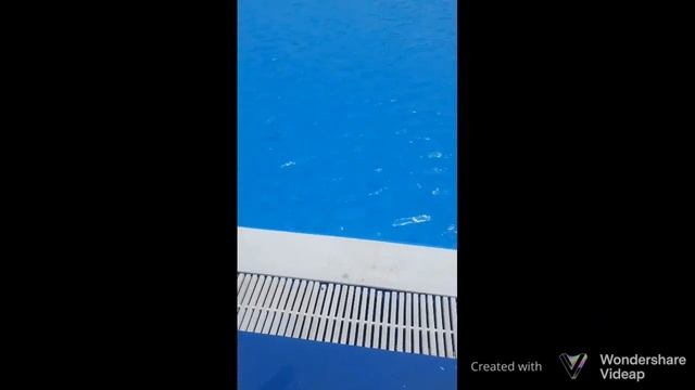 аквапарк в Таганроге??? смотреть онлайн