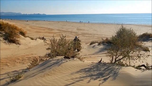 Сибирь 2х2 тест драйв по песку смотреть онлайн