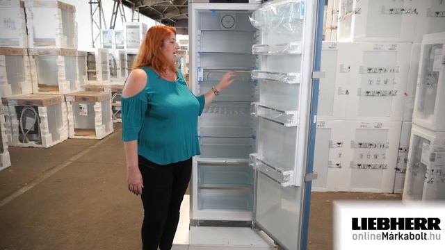 Liebherr Kef 4370 | Egyajtós hűtőszekrény bemutató videó смотреть онлайн