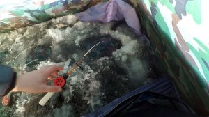 Рыбалка на карпа. Ловля карпа зимой. Карп со льда на мормышку.