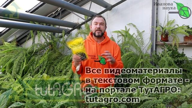 ВСЁ ЕЩЕ ПОКУПАЕТЕ???? ВЫРАЩИВАНИЕ ПРЕПАРАТОВ ПРЯМО В... ГРЯДКЕ!!! Это возможно? ДА! Не пропустите! смотреть онлайн