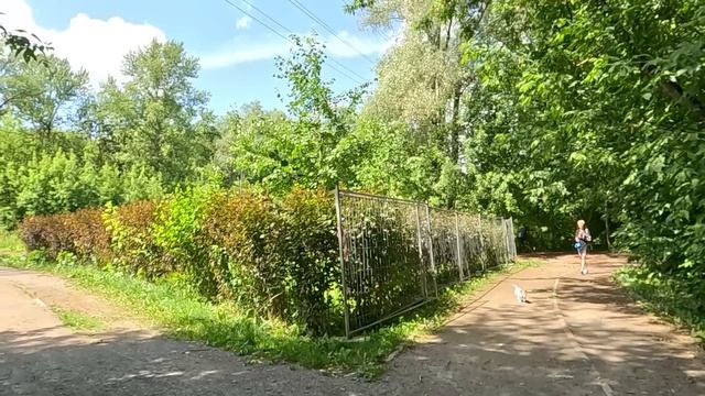 80-летний дедуля отдал многодетной соседке свой огород под грядки… А едва малыши взялись за прополк смотреть онлайн