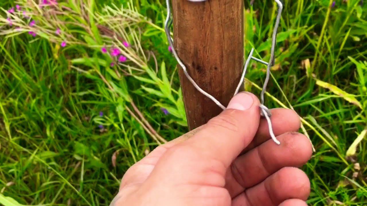 Что пили на Руси вместо чая? ИВАН-ЧАЙ, заготовка и хранение ПРАВИЛЬНЫЙ СПОСОБ ! Ферментируем кипрей смотреть онлайн