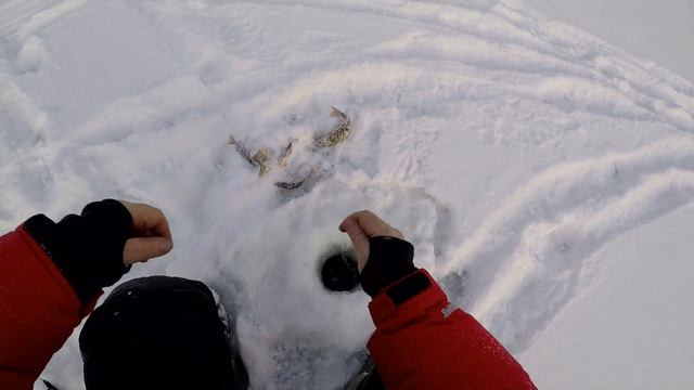 Зимняя рыбалка в заливе Езагаш. смотреть онлайн