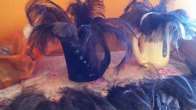 Страусиные перья смотреть онлайн