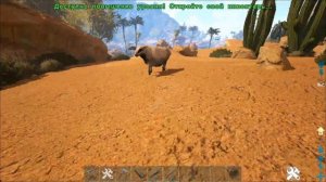 Как ПРИРУЧИТЬ СИНОМАКРОПСа в ARK? Гайд ОБЗОР на Sinomacrops! Новая ИМБА в Lost Island?