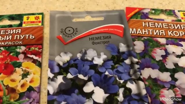 Хит Сезона! Семена Цветов 2020 смотреть онлайн