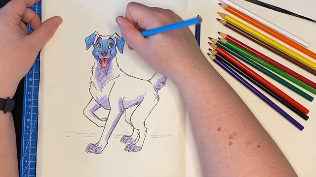 Let's Draw a Galaxy Labrador! Crayola Coloured Pencils смотреть онлайн