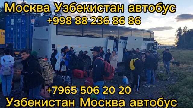 москва-узбекистан автобус узбекистан-москва автобус санкт-петербург-узбекистан автобус смотреть онлайн