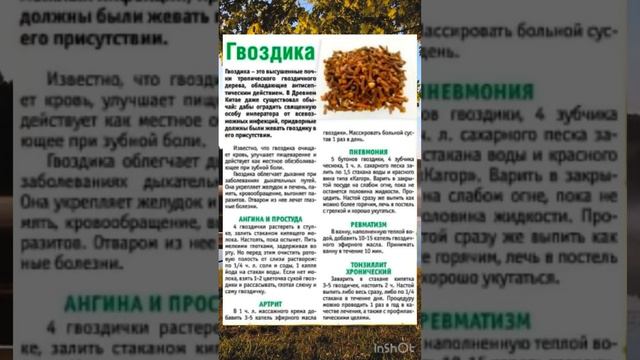 Польза Гвоздики смотреть онлайн