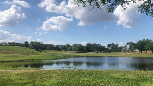 США. Хроники нашего КАРАНТИНА... Орландо / Флорида смотреть онлайн