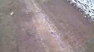 КОПЛЮ НА ПИТБАЙК 31 ЧАСТЬ!!!*ИЩЕМ ЧТО-ТО ЦЕННОЕ