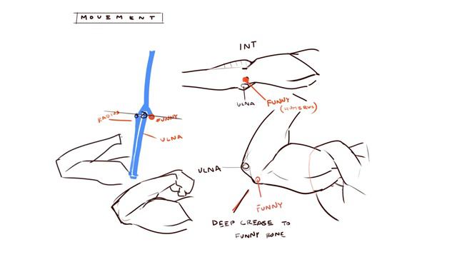 Anatomy Quick Tips Arms [ПЕРЕЗАЛИВ Sinix Design] смотреть онлайн