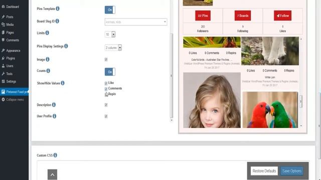 Pinterest Feed Pro WordPress Plugin - Features & Installation смотреть онлайн