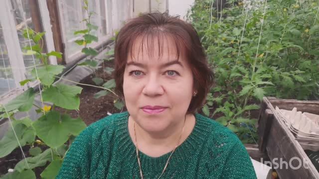 21.06.22 Влог-отвечаю на комментарии-мои огурцы в подробностях-что готовлю-пою... смотреть онлайн