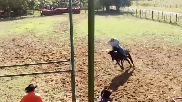 Экскурсия эко-парк (КОВБОЙ ШОУ) El Rancho в Куба, Ольгин, Sagua de Tánamo(3) смотреть онлайн