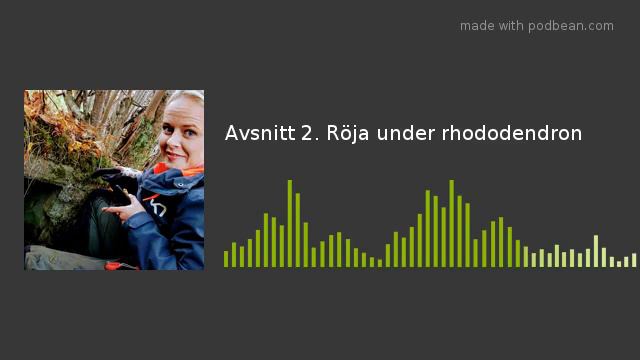 Avsnitt 2. Röja under rhododendron смотреть онлайн