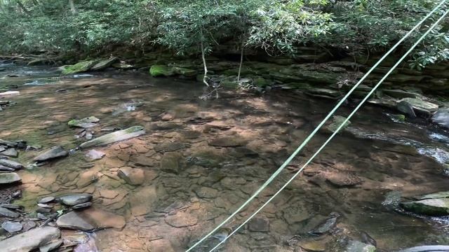 Fly Fishing a REMOTE Wild Trout Stream - Lycoming County, PA смотреть онлайн
