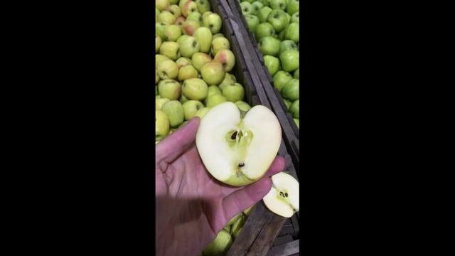 Реализуем яблоки сорта Пепин Черненко, урожай 2020 г. смотреть онлайн