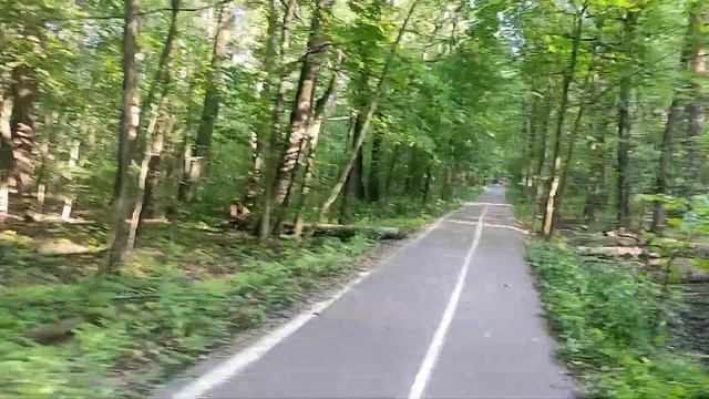 Life-VLOG: меламиновая губка/прогулка/ домашняя рутина смотреть онлайн