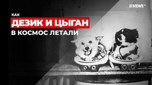 КАК ДЕЗИК И ЦЫГАН В КОСМОС ЛЕТАЛИ