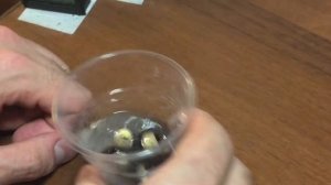 Как вырастить ЛОНГАН!!!(ПО ВКУСУ ПРИТОРНЫЙ ЛИЧИ) БЫСТРО ПЕРЕСПЕВАЕТ!!!