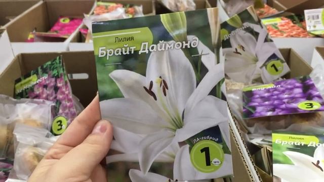 СКОРЕЕ В ?СВЕТОФОР? ЗАВЕЗЛИ ПОЛЕЗНЫЕ НОВИНКИ!?САМОЕ ИНТЕРЕСНОЕ УЖЕ ❤️НА ПОЛОЧКАХ МАГАЗИНА НИЗКИХ ЦЕ смотреть онлайн