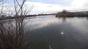 Обзор спиннинга XESTA BLACK STAR 2-nd GENERATION S610-S. Буря эмоций и крупные рыбы!