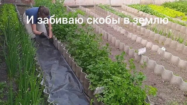 Междурядья на грядках. Чем крепить укрывной материал