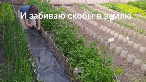 Междурядья на грядках. Чем крепить укрывной материал