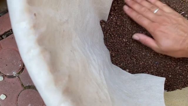 КАК ПРАВИЛЬНО ПЕРЕСАДИТЬ РОЗУ КУПЛЕННУЮ В САДОВОМ ЦЕНТРЕ. смотреть онлайн