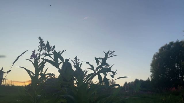 Традиции Лугнасада смотреть онлайн