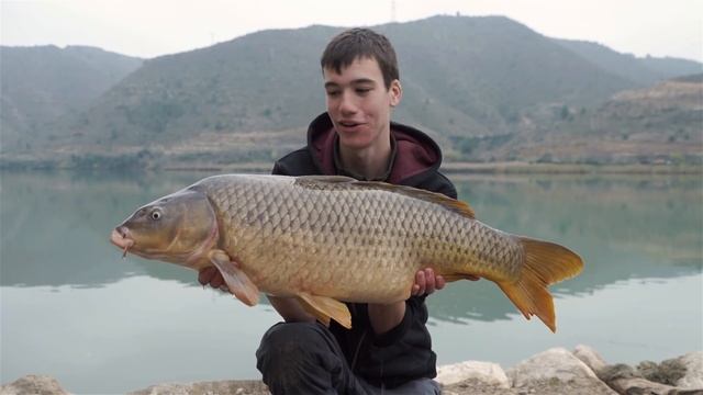 A VERY Memorable Fishing Adventure (Predators on the EBRO!) смотреть онлайн