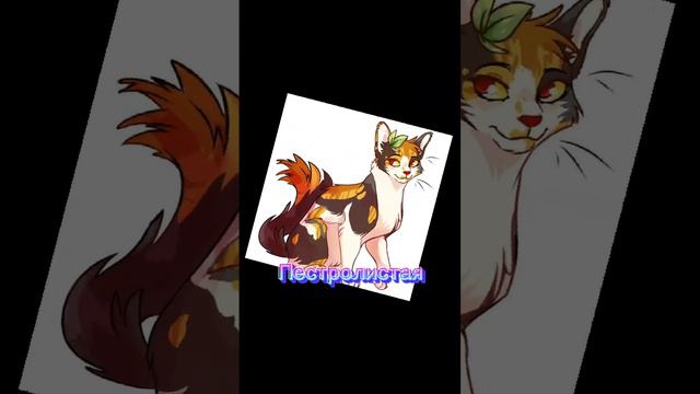 Как я слышу голоса Котов-Воителей 1часть #котывоители смотреть онлайн