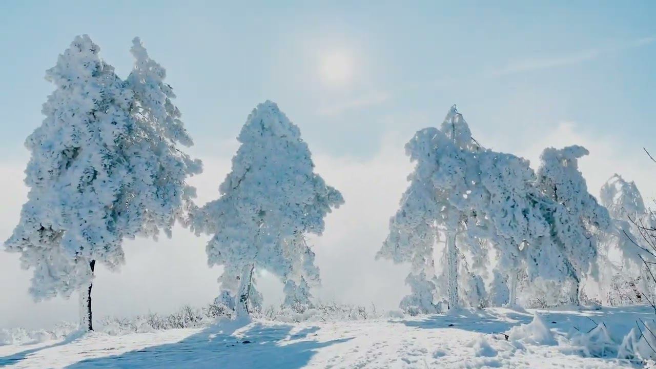 Winter with Instrumental By Yeliana смотреть онлайн