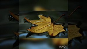 Не оставляй меня.