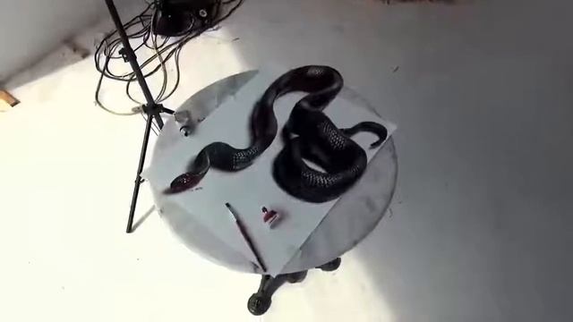 Люди красиво рисуют как будто по настоящему смотреть онлайн