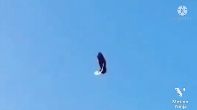 Винтовые Голуби Игравоы Вот Это Кайф Pigeons смотреть онлайн