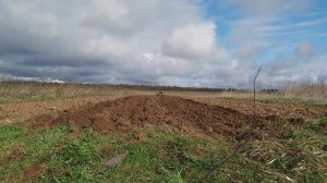 Вспашка мотоблоком Нева с адаптером