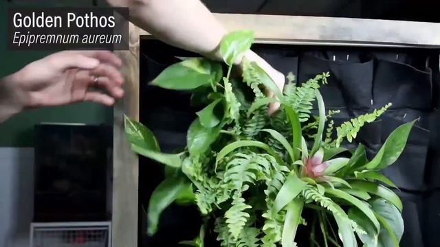 Life hack DIY hanging planter for home decoration | TABOR TRICK смотреть онлайн