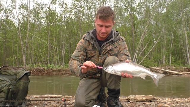 Когда приходит Лосось! Удачная рыбалка! смотреть онлайн