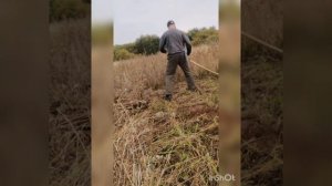 Универсальная итальянская коса. Косим сухостой.