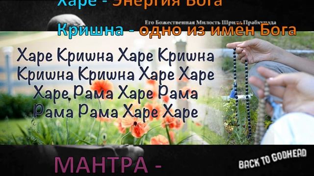 Какие виды направления и практик йоги бывают. Шрила Прабхупада. смотреть онлайн