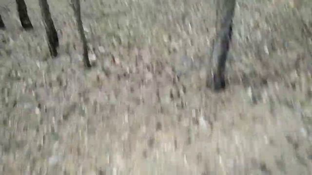 Едем за грибами. смотреть онлайн