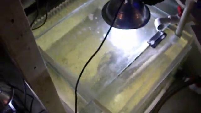 aqua euro 400 skimmer смотреть онлайн