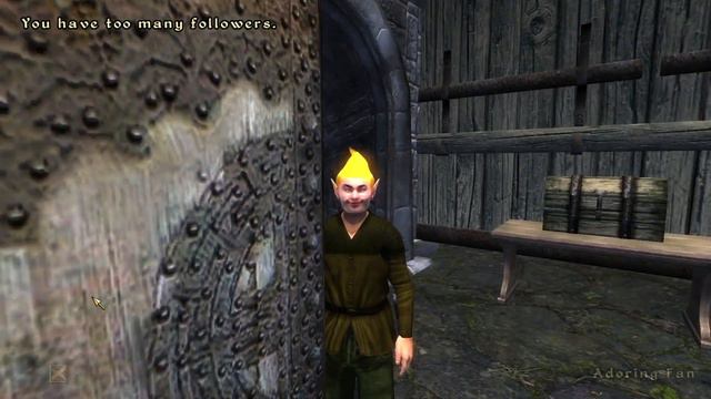 Day 41 - Killing Adoring Fan Every Day Until Elder Scrolls Skyblivion is Released смотреть онлайн