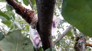 Результат с воздушными отводками.